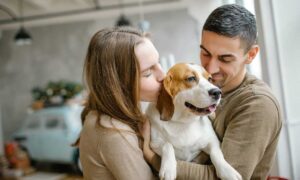 Ser Feliz con tu Pareja: Un Perro mejora los lazos